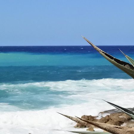 Kissonerga Beach Apartment بافوس المظهر الخارجي الصورة