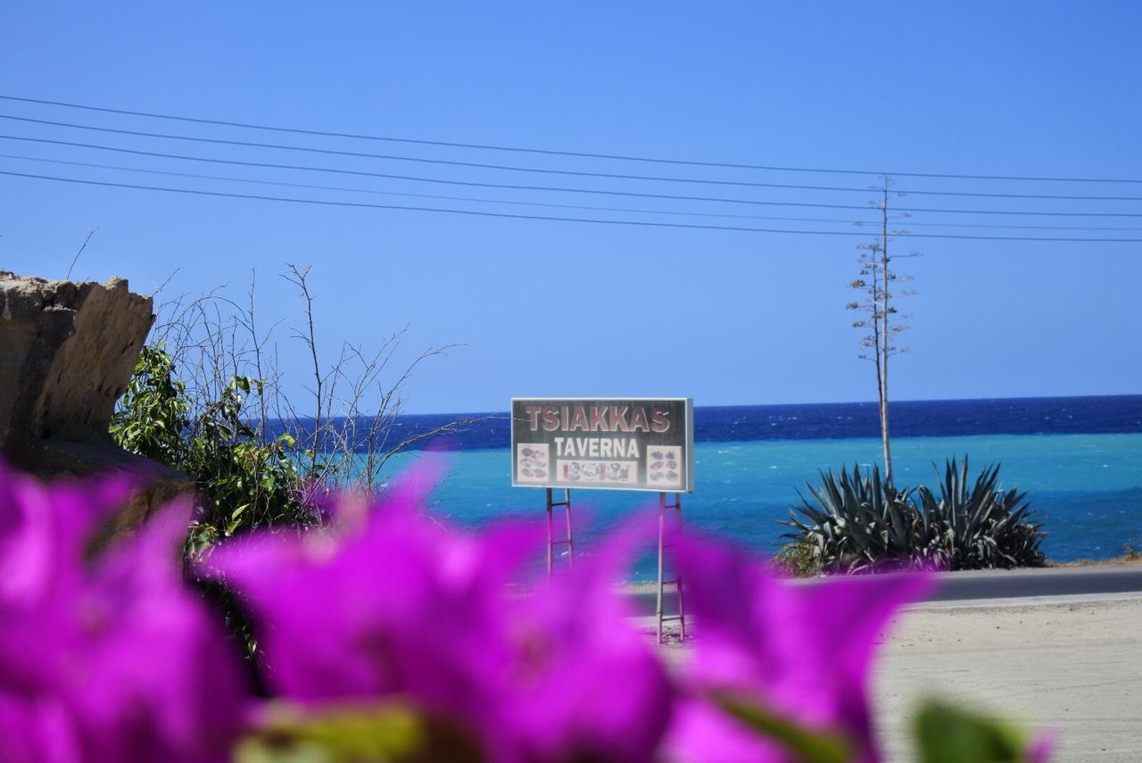 Kissonerga Beach Apartment بافوس المظهر الخارجي الصورة